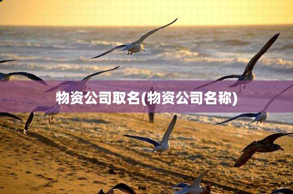 物资公司取名(物资公司名称)
