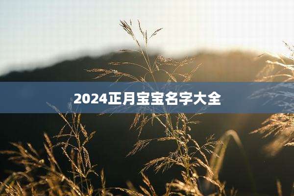 2024正月宝宝名字大全