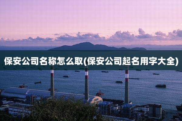 保安公司名称怎么取(保安公司起名用字大全)