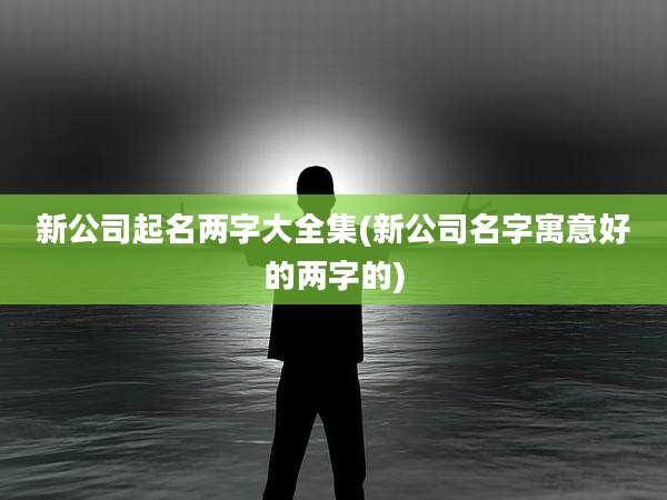 新公司起名两字大全集(新公司名字寓意好的两字的)