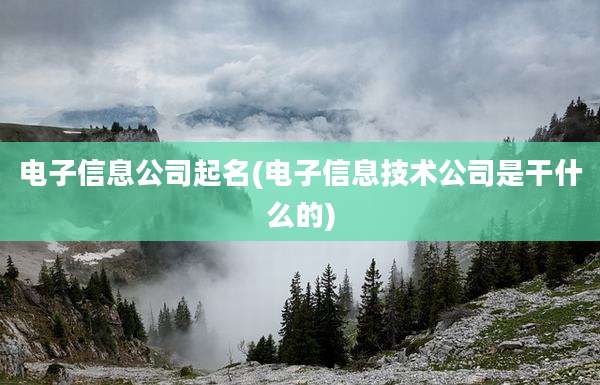 电子信息公司起名(电子信息技术公司是干什么的)