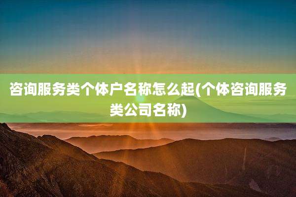 咨询服务类个体户名称怎么起(个体咨询服务类公司名称)