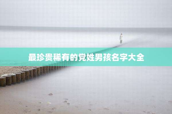 最珍贵稀有的党姓男孩名字大全