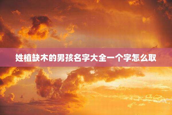 姓植缺木的男孩名字大全一个字怎么取