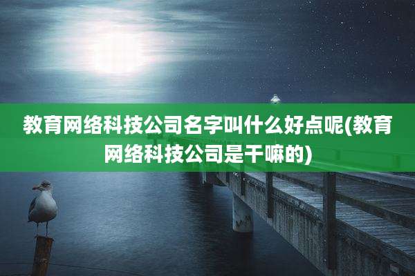 教育网络科技公司名字叫什么好点呢(教育网络科技公司是干嘛的)