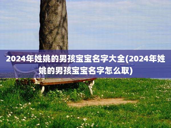 2024年姓姚的男孩宝宝名字大全(2024年姓姚的男孩宝宝名字怎么取)