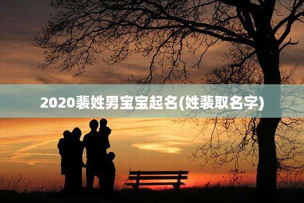 2020裴姓男宝宝起名(姓裴取名字)