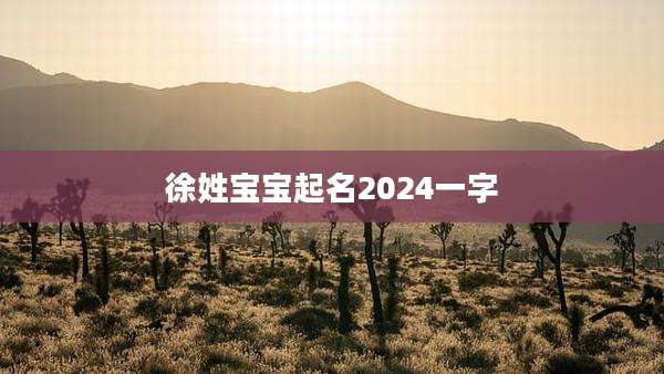徐姓宝宝起名2024一字
