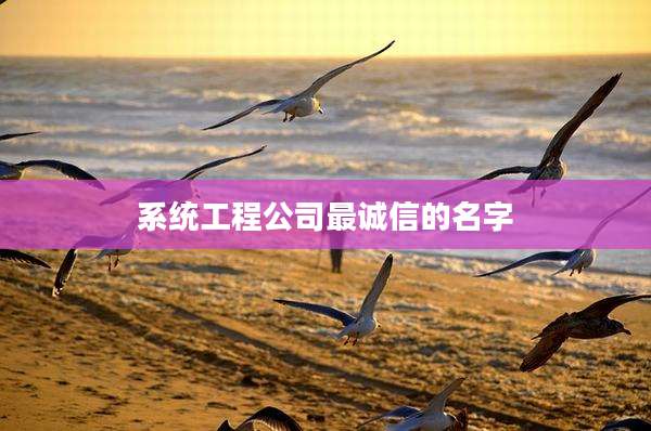 系统工程公司最诚信的名字