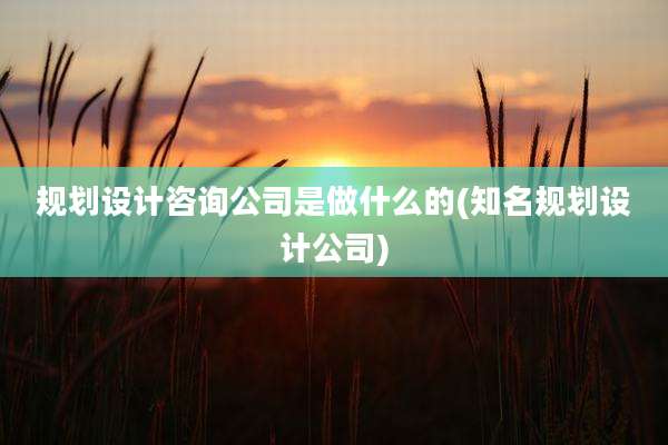 规划设计咨询公司是做什么的(知名规划设计公司)