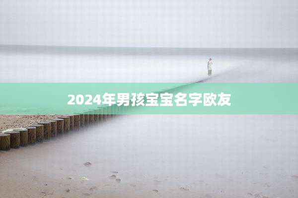 2024年男孩宝宝名字欧友