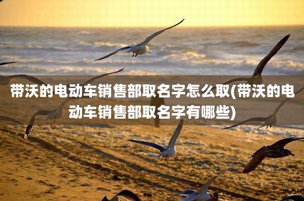 带沃的电动车销售部取名字怎么取(带沃的电动车销售部取名字有哪些)