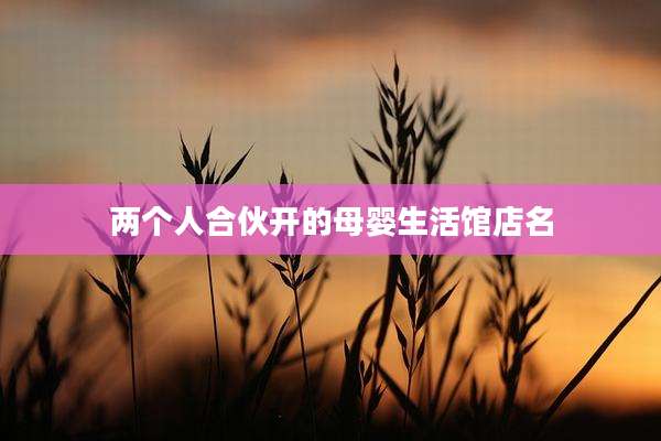 两个人合伙开的母婴生活馆店名