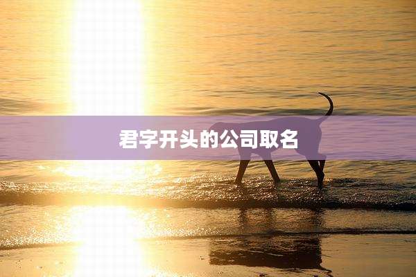 君字开头的公司取名