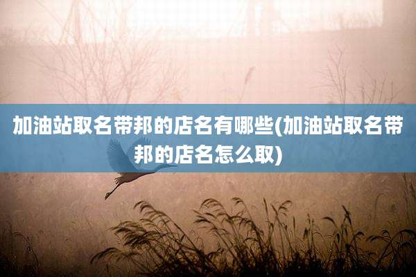 加油站取名带邦的店名有哪些(加油站取名带邦的店名怎么取)