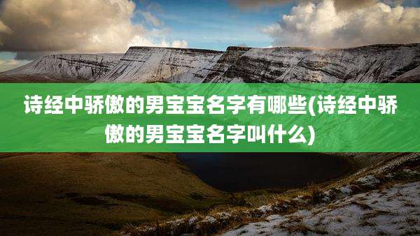 诗经中骄傲的男宝宝名字有哪些(诗经中骄傲的男宝宝名字叫什么)