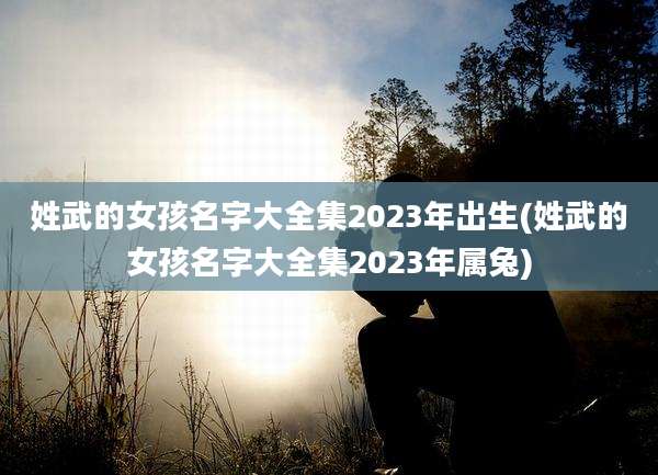姓武的女孩名字大全集2023年出生(姓武的女孩名字大全集2023年属兔)