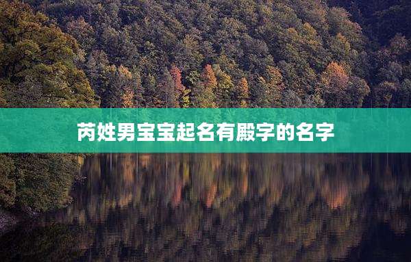 芮姓男宝宝起名有殿字的名字
