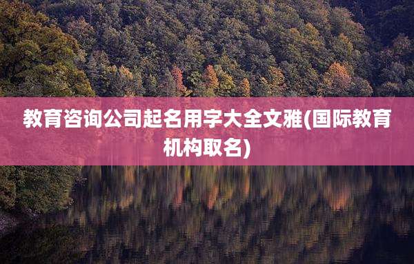 教育咨询公司起名用字大全文雅(国际教育机构取名)