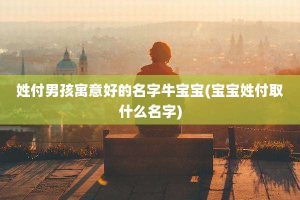 姓付男孩寓意好的名字牛宝宝(宝宝姓付取什么名字)