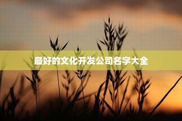 最好的文化开发公司名字大全