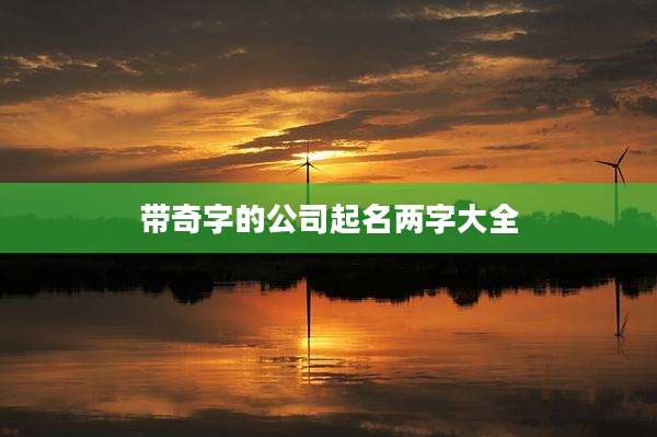 带奇字的公司起名两字大全