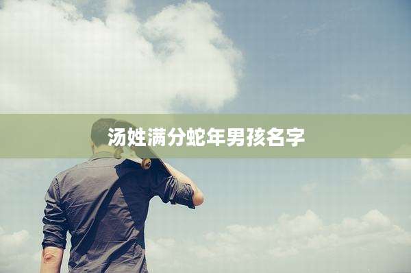 汤姓满分蛇年男孩名字