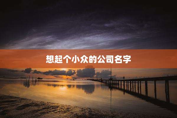 想起个小众的公司名字