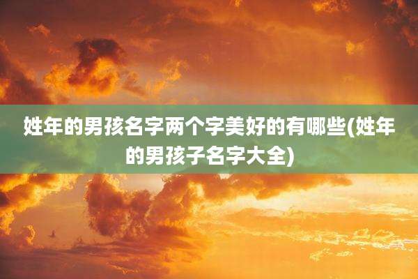 姓年的男孩名字两个字美好的有哪些(姓年的男孩子名字大全)
