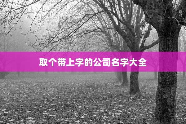 取个带上字的公司名字大全