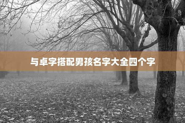 与卓字搭配男孩名字大全四个字