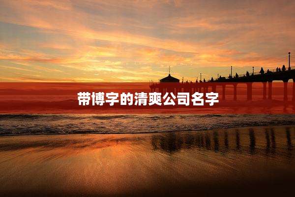 带博字的清爽公司名字
