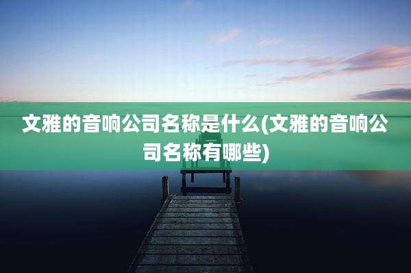 文雅的音响公司名称是什么(文雅的音响公司名称有哪些)