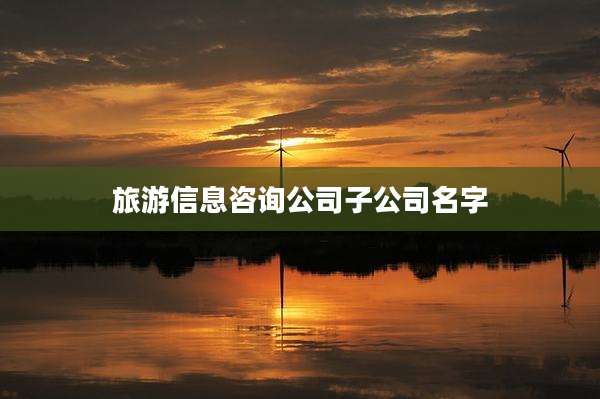 旅游信息咨询公司子公司名字
