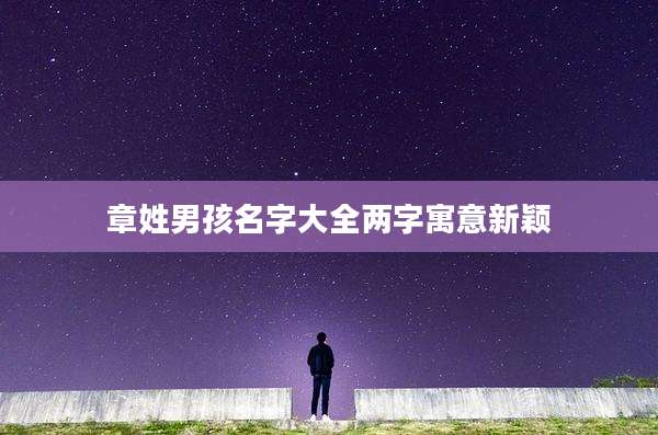 章姓男孩名字大全两字寓意新颖