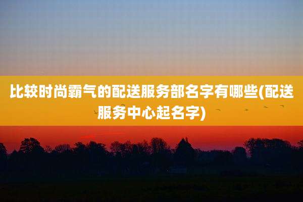 比较时尚霸气的配送服务部名字有哪些(配送服务中心起名字)