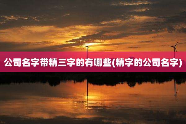 公司名字带精三字的有哪些(精字的公司名字)
