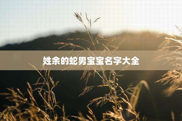 姓余的蛇男宝宝名字大全