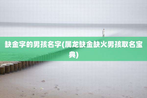 缺金字的男孩名字(属龙缺金缺火男孩取名宝典)