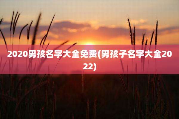 2020男孩名字大全免费(男孩子名字大全2022)
