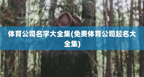 体育公司名字大全集(免费体育公司起名大全集)