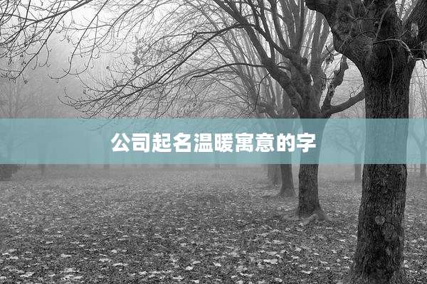 公司起名温暖寓意的字