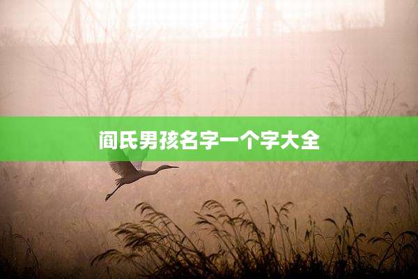阎氏男孩名字一个字大全