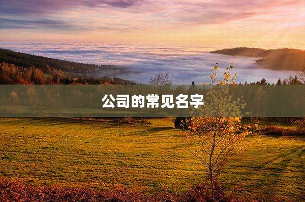 公司的常见名字