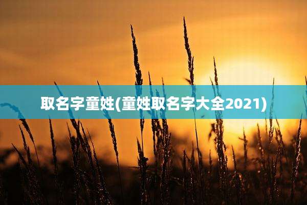 取名字童姓(童姓取名字大全2021)