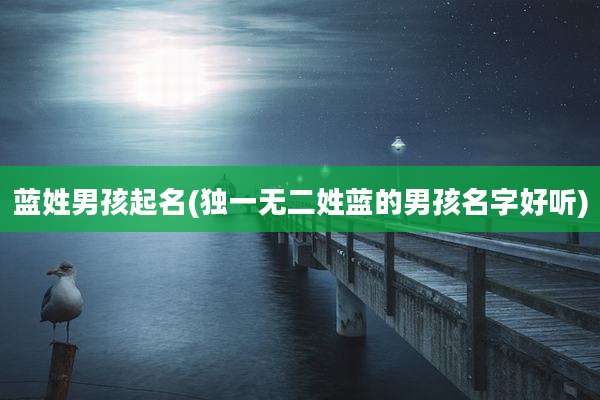 蓝姓男孩起名(独一无二姓蓝的男孩名字好听)