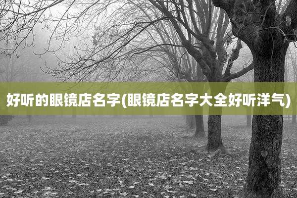 好听的眼镜店名字(眼镜店名字大全好听洋气)