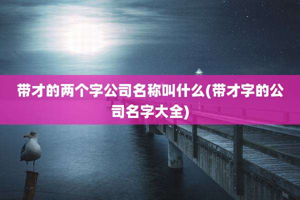 带才的两个字公司名称叫什么(带才字的公司名字大全)