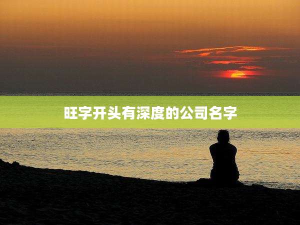 旺字开头有深度的公司名字