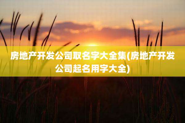 房地产开发公司取名字大全集(房地产开发公司起名用字大全)